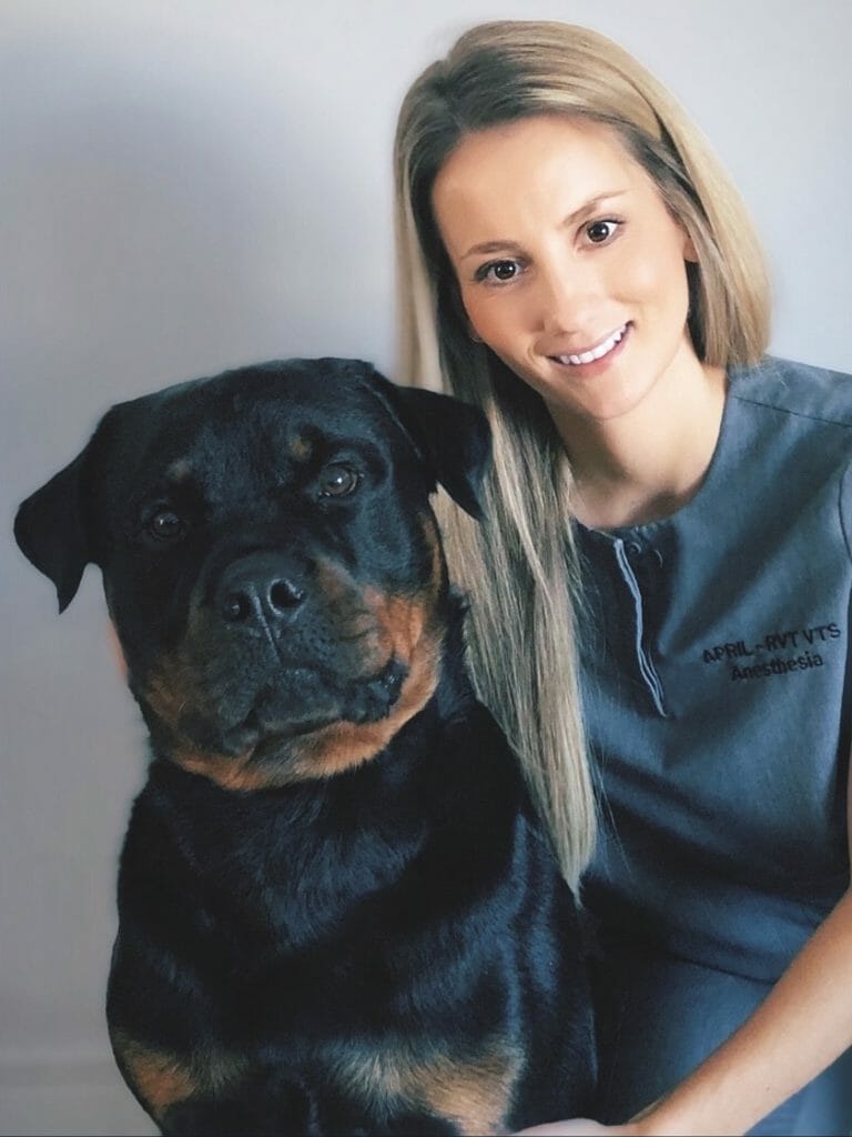 Registered veterinary technician with a black dog