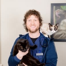 Veterinarian with one cat on shoulder and other in hand