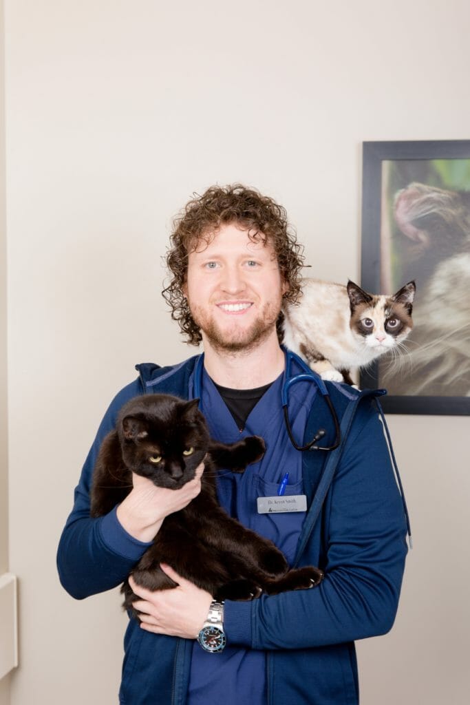 Veterinarian with one cat on shoulder and other in hand