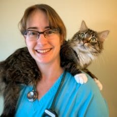 Veterinarian with a cat on her shoulders